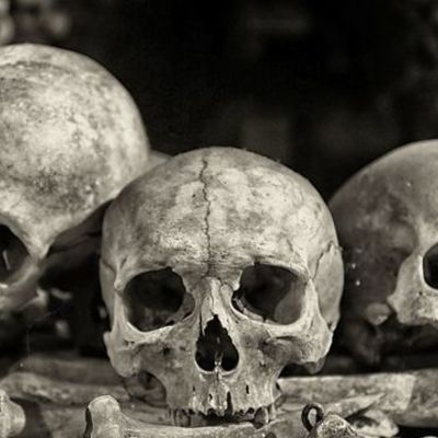 Timeline: Black Death