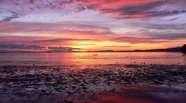 Timeline: LA EVOLUCIÓN DEL TURISMO