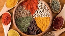 Timeline: la evolución del turismo