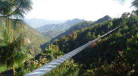 Timeline: evolucion del turismo