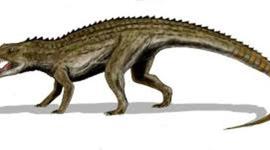 Timeline: Timeline of 4 Legged Freaks of Nature