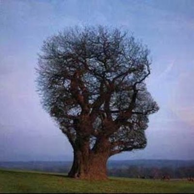 Timeline: ÉTICA APLICADA