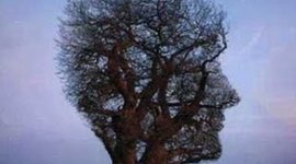 Timeline: ÉTICA APLICADA