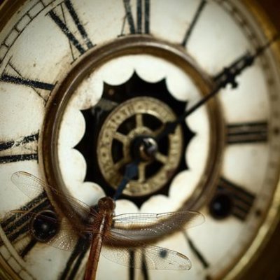 Timeline: Técnica y civilización