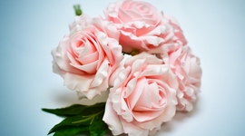 Timeline: Біографія