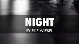 Timeline: Sheltann Night