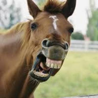 Timeline: Linea Del Tiempo EDI