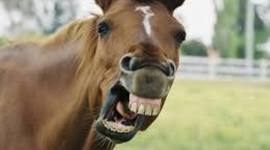 Timeline: Linea Del Tiempo EDI