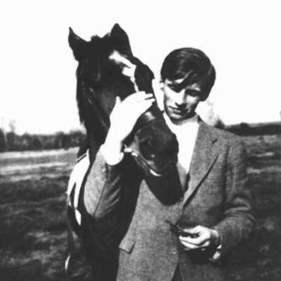 Timeline: The White Rose