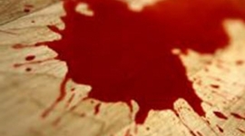 Timeline: Tokyo Crime