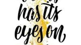 Timeline: Sara STAAR 8