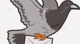 Timeline: COMUNICACIÒN  UTILIZANDO PALOMAS MENSAJERAS