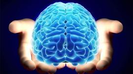 Timeline: Psicología y Neuropsicología