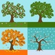 A tree of each season design 1294 81