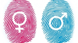 Timeline: Género y familia