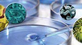 Timeline: Mundo de Bacterias | Historia de la Microbiología