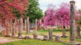 Timeline: Η Ηλεία στους αιώνες