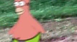 Timeline: merda timeline socials