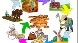 Timeline: Ο κύκλος του ψωμιού