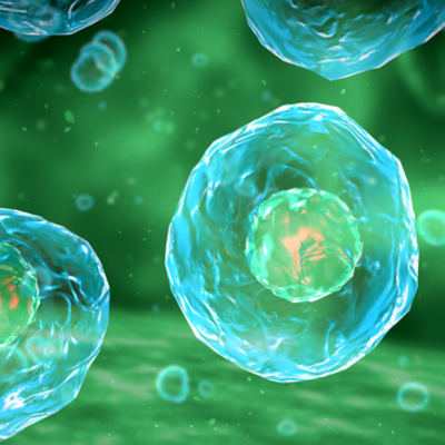 Timeline: La Biotecnología