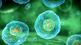 Timeline: La Biotecnología