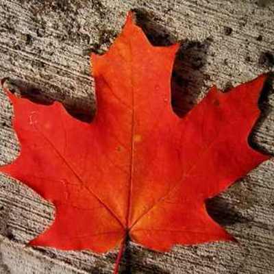 Timeline: Canada's Advent of Age