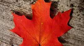 Timeline: Canada's Advent of Age