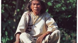 Timeline: EL PUEBLO INDÍGENA KANKUAMO DE LA SIERRA  NEVADA DE SANTA MARTA.