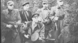 Timeline: The Forest Brothers