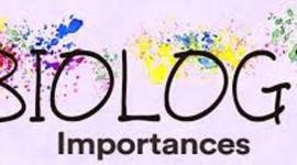 Timeline: Redemption Assignment