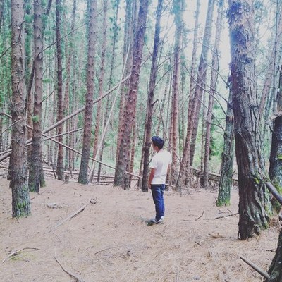 Timeline: Jair Torres