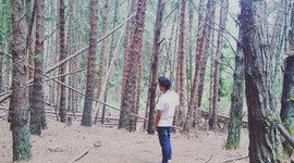 Timeline: Jair Torres