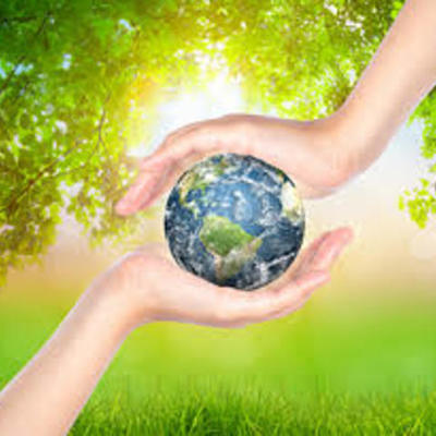 Timeline: EL MEDIO AMBIENTE