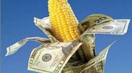 Timeline: AgEc Farm Bill Timeline