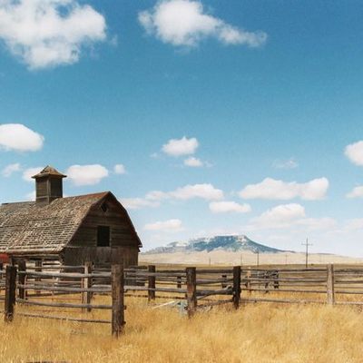 Timeline: Farm Bil Timeline