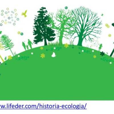 Timeline: EVOLUCIÓN DEL CONCEPTO CADENA Y RED TRÓFICA