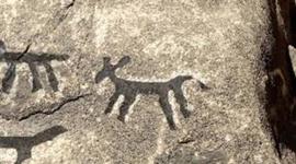 Timeline: Períodos culturales NSA