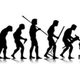 Evolucion wp