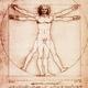 Da vinci hombre de vitruvio