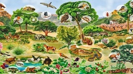 Timeline: LA ADAPTACIÓN DE LOS SERES VIVOS EN EL MEDIO A TRAVÉS DEL TIEMPO