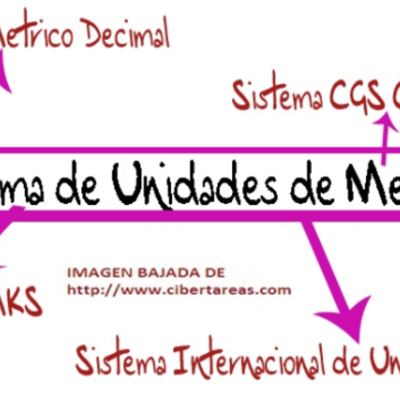 Timeline: Evolución De Medidas