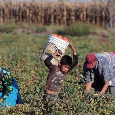 Timeline: Programas Sociales para la Comunidad Rural