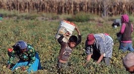 Timeline: Programas Sociales para la Comunidad Rural