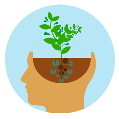 Timeline: 7.01Timeline