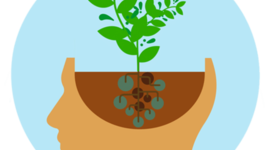 Timeline: 7.01Timeline