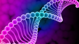 Timeline: Historia animada de la Genética