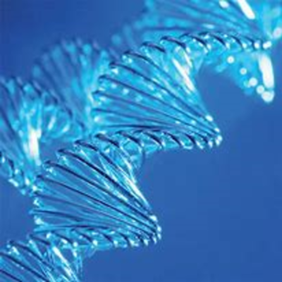 Timeline: La historia de la genética