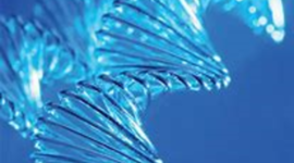 Timeline: La historia de la genética