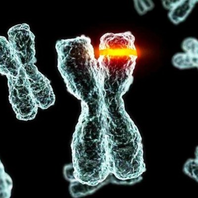 Timeline: LA HISTORIA DE LA GENÉTICA