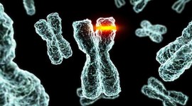 Timeline: LA HISTORIA DE LA GENÉTICA